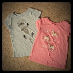 Cat & Jack T-Shirt Bundle
